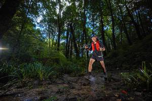 BIB: 
                            <button type="button" onclick="openModal(19231387)" class="btn btn-primary btn-sm float-right btn-popup" data-toggle="modal" data-target=".modal-high-quality">
                        <i class="fas fa-shopping-cart"></i> Add to Cart
                    </button>
                                            <button type="button" onclick="isThisMe(19231387, true)" class="btn btn-success btn-sm float-right btn-popup btn-isme hidden" data-toggle="tooltip" data-placement="bottom" title="นี่คือรูปของคุณใช่ไหม คลิกที่นี่เพื่อเอาเข้าอัลบั้ม">
                        <i class="fas fa-plus"></i> Add to album
                    </button>
                    <button type="button" onclick="isThisMe(19231387, false)" class="btn btn-warning btn-sm float-right btn-popup btn-isnotme hidden">
                        <i class="fas fa-ban"></i> Remove from album
                    </button>